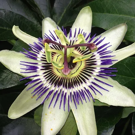 Anateresa Appartement Mogarraz