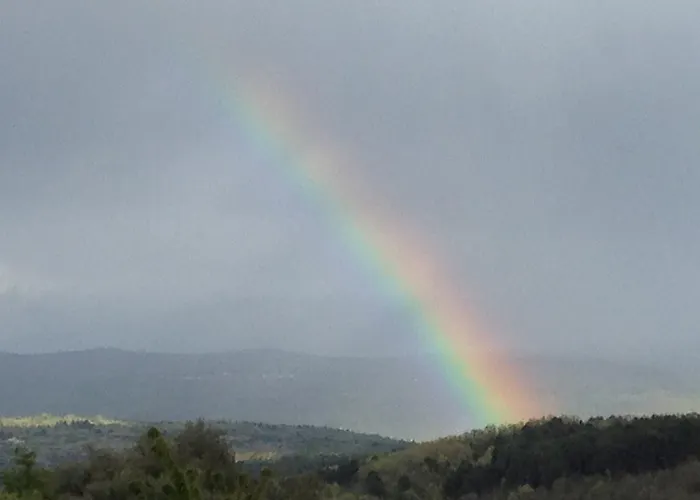 Anateresa 모가라스