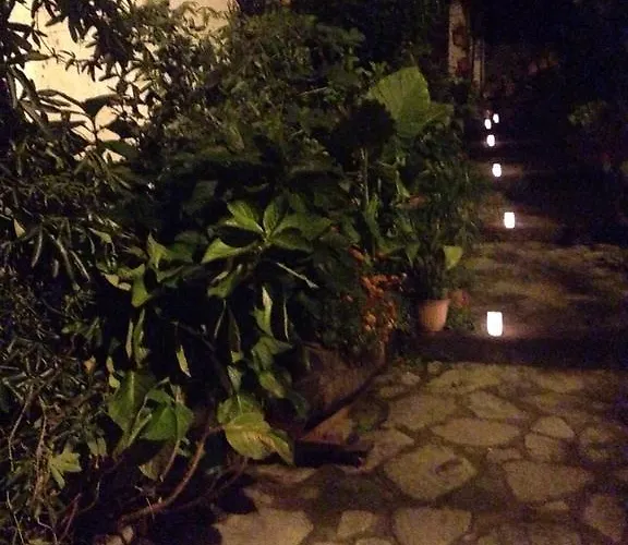 Anateresa * 모가라스