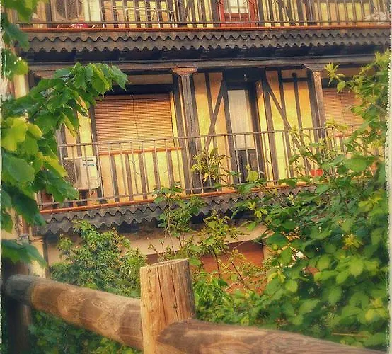 Anateresa 모가라스